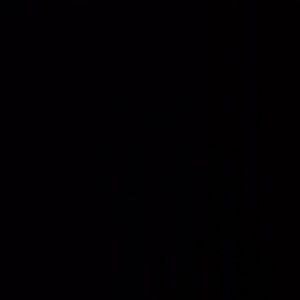 Meet your Posher, Alexys